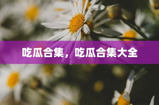 吃瓜合集，吃瓜合集大全
