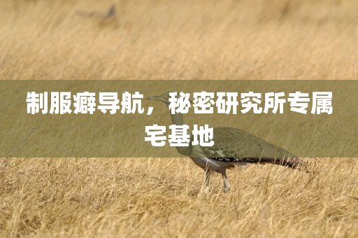 制服癖导航，秘密研究所专属宅基地