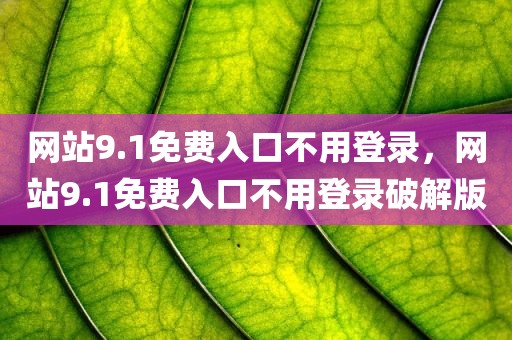 网站9.1免费入口不用登录，网站9.1免费入口不用登录破解版