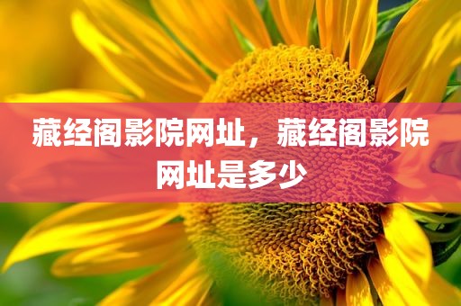 藏经阁影院网址，藏经阁影院网址是多少