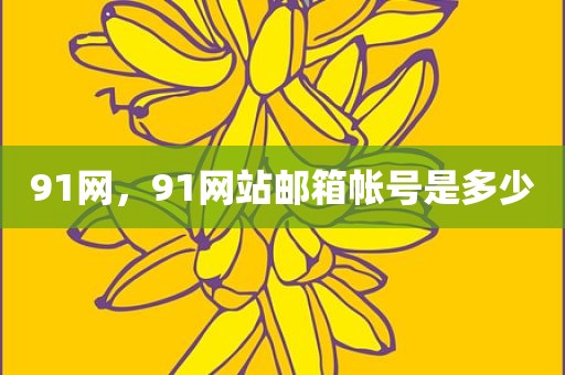 91网，91网站邮箱帐号是多少