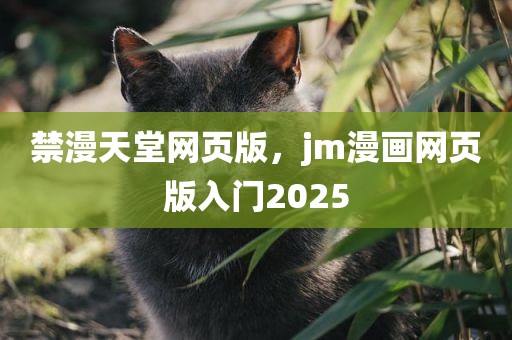 禁漫天堂网页版，jm漫画网页版入门2025