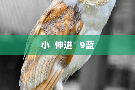 小  伸进   9蓝