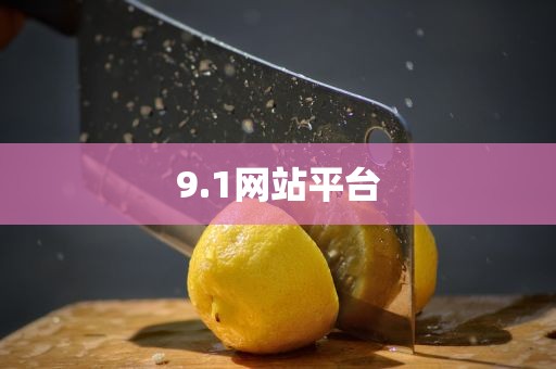 9.1网站平台