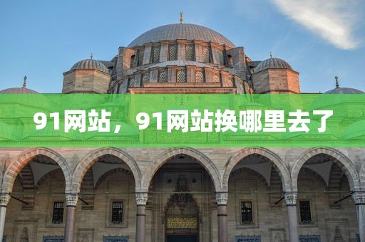 91网站，91网站换哪里去了