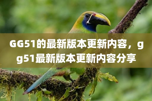GG51的最新版本更新内容，gg51最新版本更新内容分享