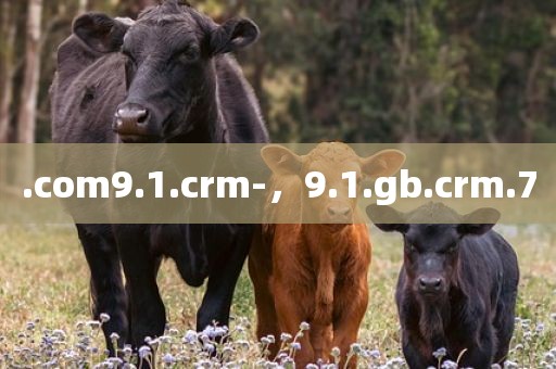 .com9.1.crm-，9.1.gb.crm.7
