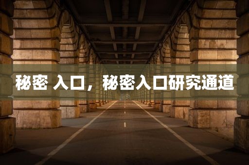秘密 入口，秘密入口研究通道