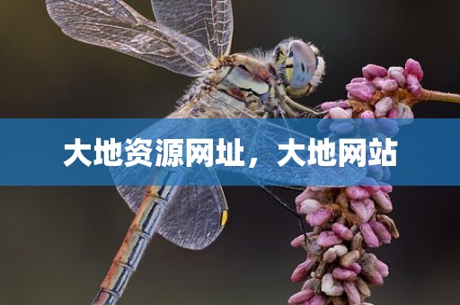 大地资源网址，大地网站