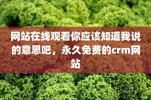 网站在线观看你应该知道我说的意思吧，永久免费的crm网站