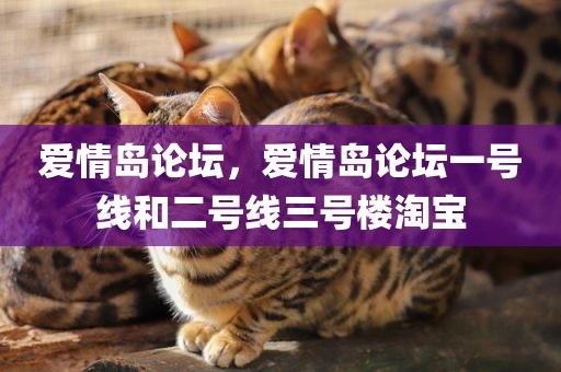 爱情岛论坛，爱情岛论坛一号线和二号线三号楼淘宝