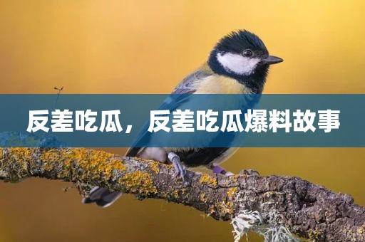 反差吃瓜，反差吃瓜爆料故事