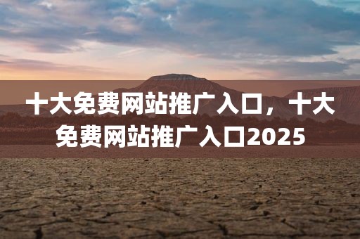 十大免费网站推广入口，十大免费网站推广入口2025
