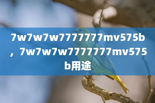 7w7w7w7777777mv575b，7w7w7w7777777mv575b用途