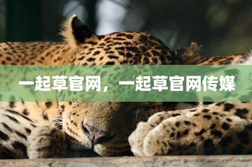 一起草官网，一起草官网传媒
