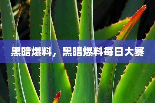 黑暗爆料，黑暗爆料每日大赛