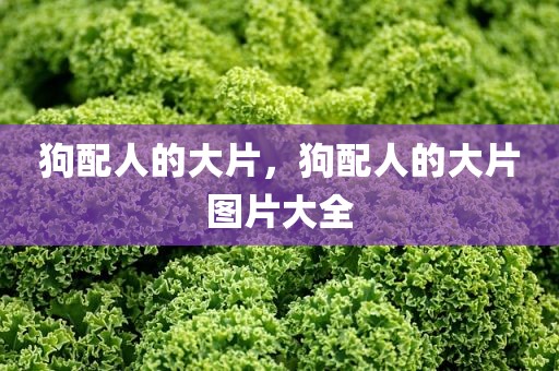 狗配人的大片，狗配人的大片图片大全