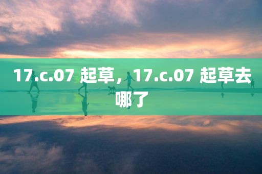 17.c.07 起草，17.c.07 起草去哪了