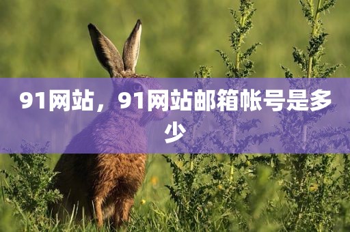 91网站，91网站邮箱帐号是多少