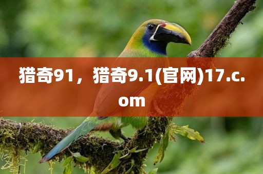 猎奇91，猎奇9.1(官网)17.c.om