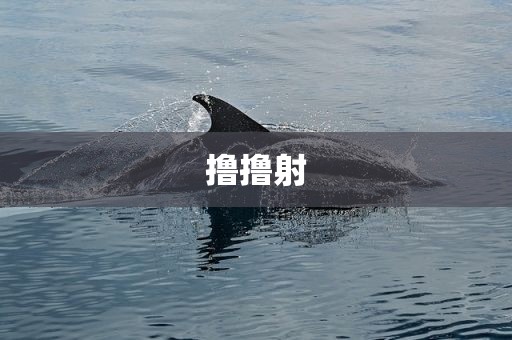 撸撸射