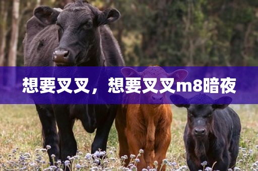 想要叉叉，想要叉叉m8暗夜
