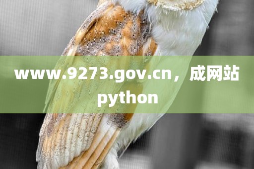 www.9273.gov.cn，成网站python