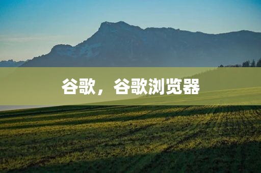 谷歌，谷歌浏览器