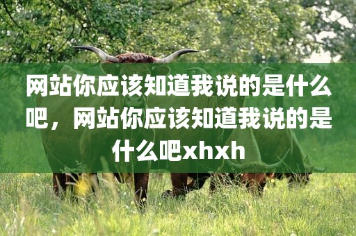 网站你应该知道我说的是什么吧，网站你应该知道我说的是什么吧xhxh