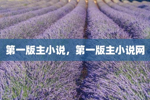 第一版主小说，第一版主小说网