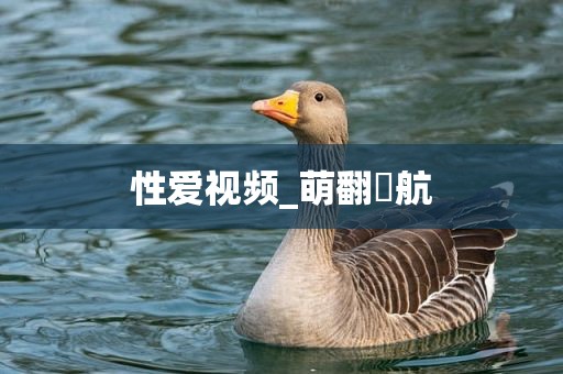 性爱视频_萌翻導航