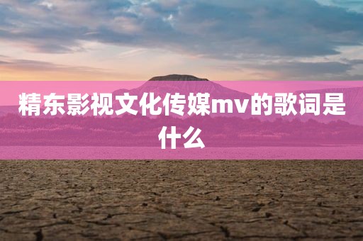 精东影视文化传媒mv的歌词是什么