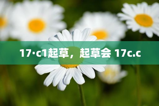 17·c1起草，起草会 17c.c