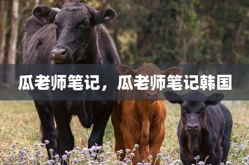 瓜老师笔记，瓜老师笔记韩国