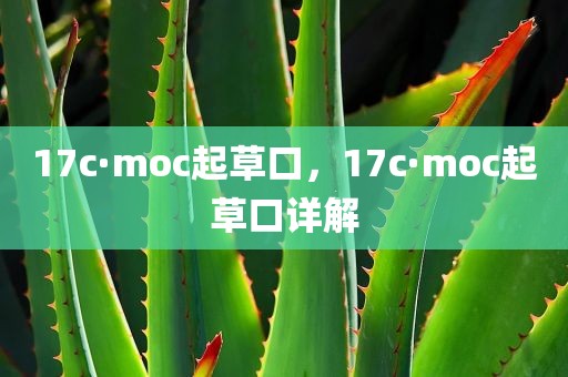 17c·moc起草口，17c·moc起草口详解