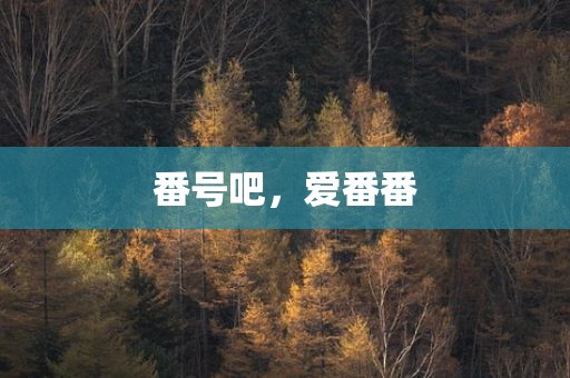 番号吧，爱番番