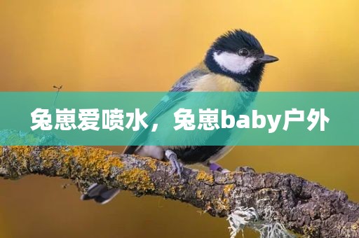 兔崽爱喷水，兔崽baby户外