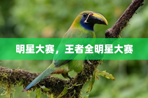 明星大赛，王者全明星大赛