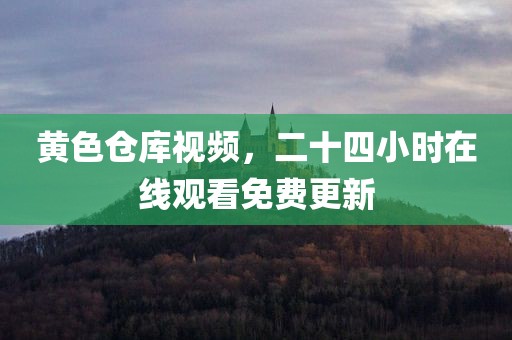 黄色仓库视频，二十四小时在线观看免费更新