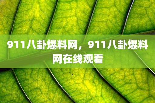911八卦爆料网，911八卦爆料网在线观看