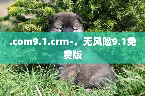 .com9.1.crm-，无风险9.1免费版