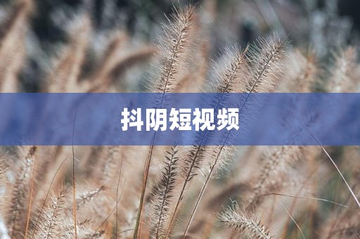 抖阴短视频