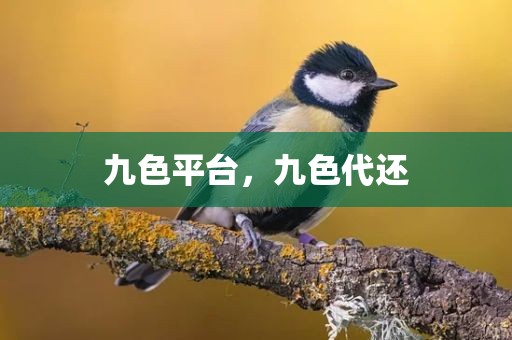 九色平台，九色代还