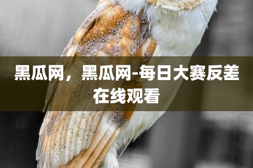 黑瓜网，黑瓜网-每日大赛反差在线观看