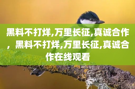 黑料不打烊,万里长征,真诚合作，黑料不打烊,万里长征,真诚合作在线观看