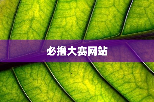 必撸大赛网站