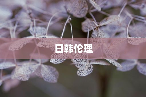 日韩伦理