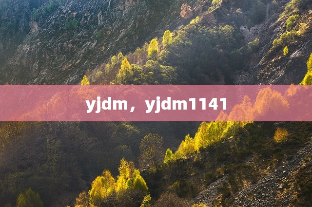 yjdm，yjdm1141