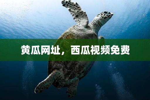 黄瓜网址，西瓜视频免费