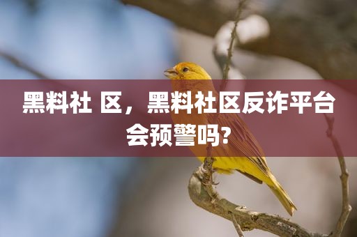 黑料社 区，黑料社区反诈平台会预警吗?